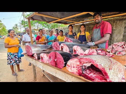 Wow! Sri Lanka's Fish Market Unveiling Hidden Village Cuisines and Local Delicacies