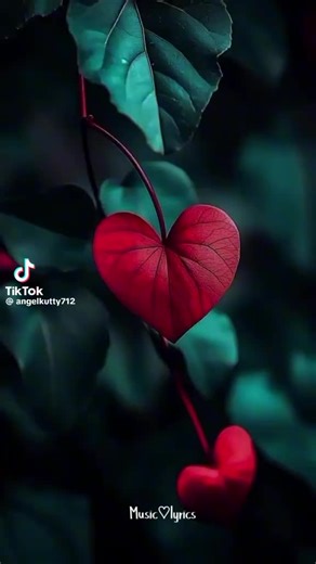 MlG (@mlg01687)’s videos with original sound - MlG