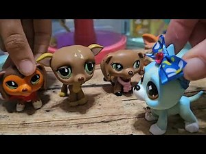 Lps Dares! #lps #lpsvideos #littlestpetshop ##littlestpetshopvideos #lpsdares