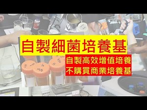 自製細菌培養基