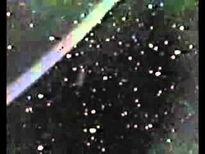 UFOs in Earth Orbit (Space Shuttle Discovery STS-63 1995)