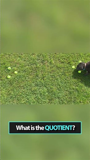 What is the QUOTIENT?