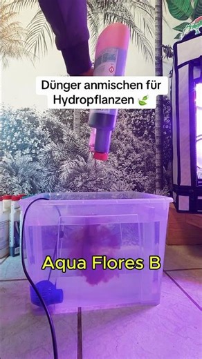 Mixing hydroponic nutrient solution 🍃 #plants #shortvideo