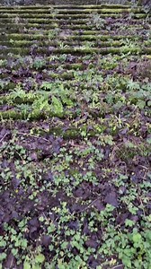 We explored the old Belfast Zoo | Jamierob2