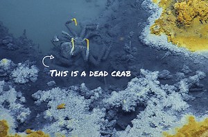 Meet the Jacuzzi of Despair, an Underwater Lake So Salty, It’ll Kill Everything That Swims Through It