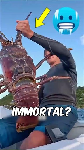 Top 3 Animals That Keep Growing Forever (No Limits) 😳