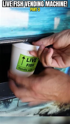 I Found a LIVE Fish Vending Machine… Part 3 of 16… | RAWWFishing