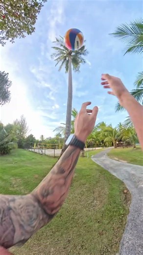 Famous Khao Lak Tree 2026 edition 🌴🏐✋🏼