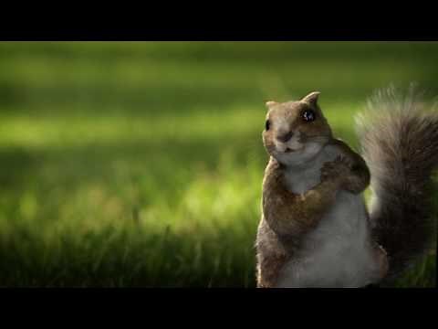 Kit Kat - Squirrels HD