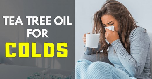 Tea Tree Oil for Colds & Flu: Get Congestion and Respiratory Relief