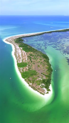 Baelo Travels on Instagram: "This Florida Hidden Gem Is Shell Key Island! Located near Fort De Soto Park! Things to do in St Petersburg #shellkeypreserve #island #florida #travel"