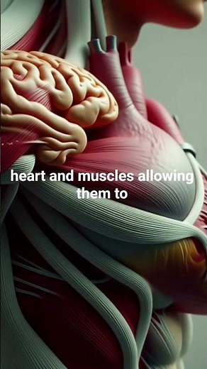 How Oxygen Keeps You Alive | 3D Medical Animation Explained in 30 Seconds