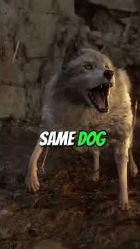 Games That Reward You For Showing Mercy #gaming