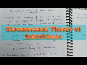 Chromosomal Theory of Inheritance