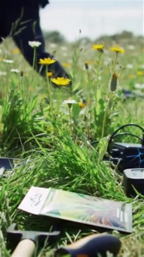 AI Designs Eco-Friendly Landscapes: Watch Nature Thrive! Explore the fascinating world of co-created living installations where artists and AI collaborate to shape our landscapes. We delve into AI-designed spaces for ecological repair, showcasing how parks and rooftops are optimized to regenerate bees and host migrating butterflies. Join us in rethinking our interaction with the environment! #AIArt #LivingInstallations #EcoDesign #AIArchitecture #SustainableCities #EcologicalRepair #ArtificialIn