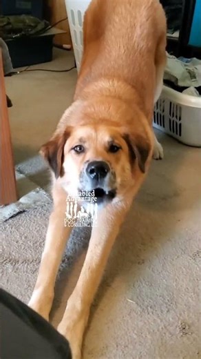 get shoes out of room