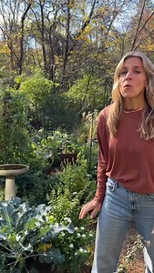 If you’re still using Miracle Gro in your garden, let me show you a way that’s way better for you and your plants 👇 I put together my Secret Soil Recipe to help you grow stronger, healthier plants with less guesswork and way more harvests. It’s the exact mix I use to build rich, living soil with no fancy tools and no confusing steps, just natural ingredients that actually work. Comment SOIL and I’ll DM you the recipe so you can start building better beds this season. Let’s ditch the synthetic s