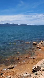 Sea turtle | Adam Breasley | Facebook