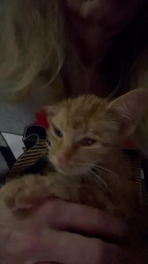 21 reactions | Southern Nevada Trapping Team and Rescue on Reels | Facebook