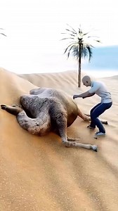 5.6M views · 21K reactions | Exploding camels and suicidal termites. | Conspiracy World | Facebook