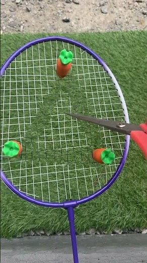 LA CAROTTE SUR LE TRIANGLE