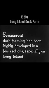 📜 Long Island History 🎥 1920's LI Duck Farm #longisland #longislandconnection #longislandlife #longislandhistory #history | Long Island Connection