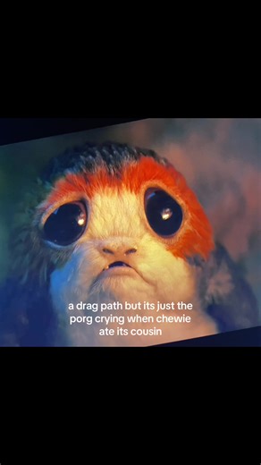 Star Wars Porg's Sad Tears