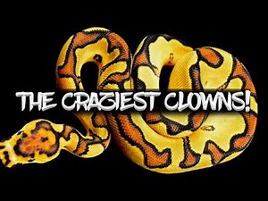 These are Some of the Craziest Clowns I've Seen!