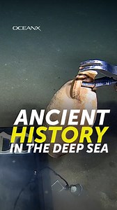 20K views · 329 reactions | What started as a routine dive in the...