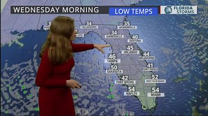 Another cold front brings a 2nd round of cold weather to Florida by mid-week. #flwx | Florida Storms