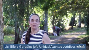8.9K views · 70 reactions | ▶Invitamos al sector Productor nacional a acercarse a las oficinas del ICAFE en las distintas regionales, para presentar la lista de recolectores y poder garantizarles el acceso al aseguramiento. | Instituto del Café de Costa Rica - ICAFE | Facebook