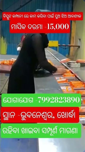 ଅଧିକ ଜାଣିବା ପାଇଁ ଯୋଗାଯୋଗ କରନ୍ତୁ-7992823890#allodisha#company#jobs#viral#2026#shorts#tredingshorts