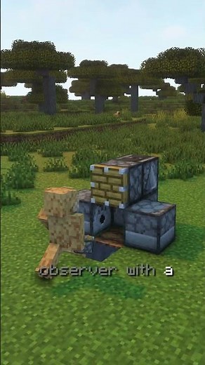 Auto Crop Farm in Minecraft | Easy Harvest System