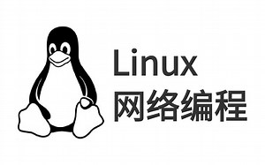 程序员必知必会，linux网络编程精髓（tcp、udp、epoll、reactor、posix api、boost.asio、网络协议栈、io_uring）