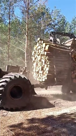 Massive Logging Truck Hauling a Full Load of Timber Through the Forest! #logging #forestry #trucks