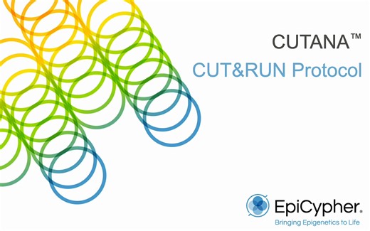 CUT&RUN Protocol Walk-through | EpiCypher CUTANA™ CUT&RUN Assays