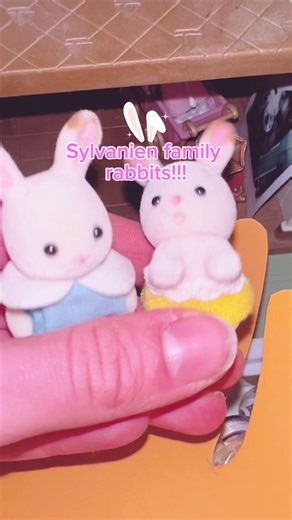 Explore the Adorable Sylvanian Families Collection