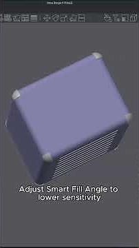 BambuStudio New Feature! Fuzzy Skin Painting