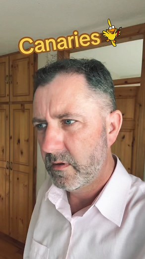 #canary #island #wink #humour #humor #laugh #funny #haha #irish #ireland #Kilkenny #☘️☘️☘️ #foryou #viral #fypシ #fyp #fp #CapCut | Ciarán McCauley