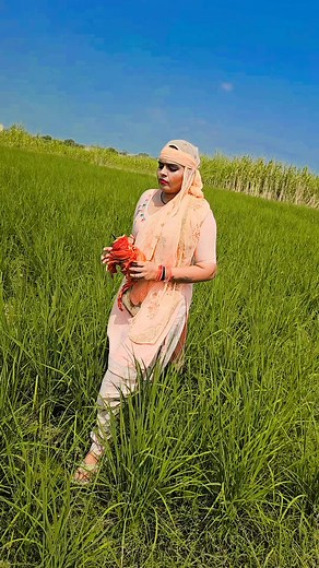 53K views · 1.3K reactions | B S S MOVIE on Reels | Facebook