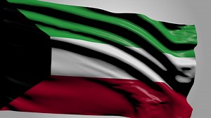 Download Flag Of Kuwait for free