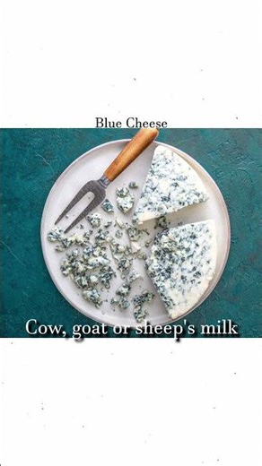 9 Types of Cheese Explained! (Blue Cheese)