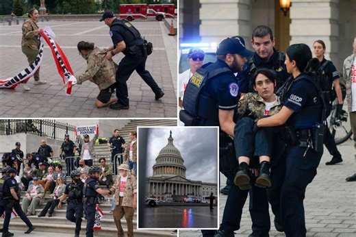 About 60 people arrested after veterans’ anti-ICE demonstration in Washington, DC, police say