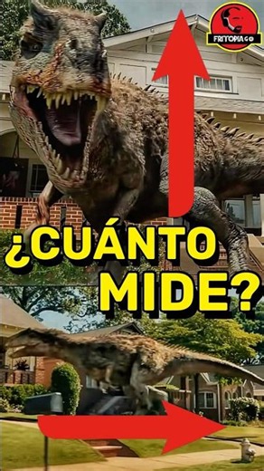 ¿Cuánto mide el ALLOSAURUS de The End of Oak Street? 🦖