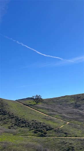 Lucky E. Flowers on Instagram: "🌸Take a moment to pause, breathe and create new memories. 🙏🏽🫶🏽🦋 . . #findingflowerspodcast #findingflowers #motivation #love #jesuskindoflove #selflove #godisgood"