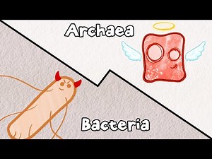 Archaea: Bacteria's Pacifist Cousins?