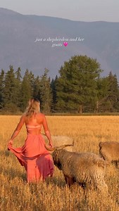 1.9K views · 111 reactions | Amidst the stinky bucks in rut, the...