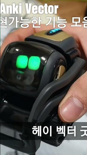 Anki Vector Robot | Cute | Good Job | Petting | Anki Vector Robot