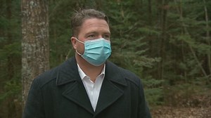 City of Moncton asks people not to treat parks as 'decoration stores'