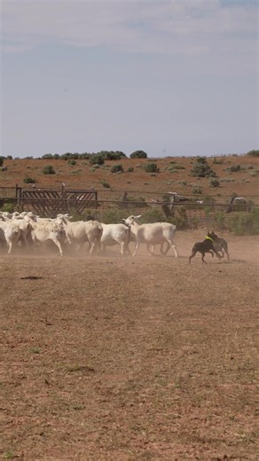 Early Retirement Ideas for the Future